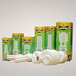 CFL Bulbs